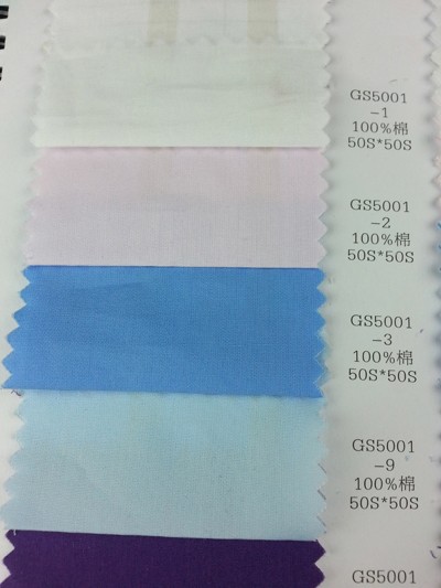 DG-LIFG GS5001 正面照